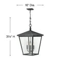 thumbnail image 7 of Hinkley Lighting 1428-Ll Trellis 4 Light 16" Wide Outdoor Pendant - Bronze, 7 of 7