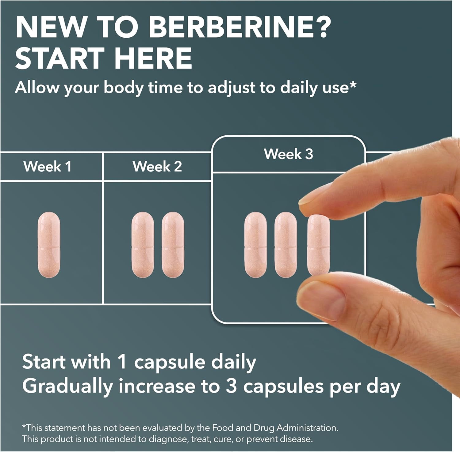 Berberine Supplement with Green Tea Extract - Pure Potency for Metabolic Wellness, Gut Health - Appetite & Craving Control - 90 Capsules