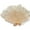 Champagne, variant on 100*60CM Red Ostrich Feather Fan 13 Bones Wedding Foldable HandHeld Fans Stage Performance Props