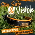 thumbnail image 2 of Mighty Paw Sport Collar 2.0 | Soft Neoprene Padded Dog Collar for Maximum Comfort. (Orange) (Medium), 2 of 9