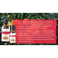 thumbnail image 3 of ArOmis Organic Grapefruit Essential Oil - USDA Certified - 100% Pure Therapeutic Grade - 10ml (.34 Fl Oz), Undiluted, Premium, Perfect for Aromatherapy Diffuser, 3 of 6