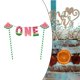 thumbnail image 3 of Pancarta de cumpleaños para bebé, temática de , adornos colgantes, pancarta decorativa de sandía para patio, hogar, decoración shamjiam Bandera de frutas, 3 of 5