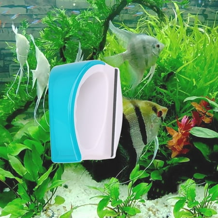 magnetic brush aquarium fish