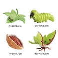 thumbnail image 2 of Figurilla de ciclo de vida realista Macarena Material didáctico de animal, 2 of 8