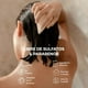 thumbnail image 4 of AMAI Dúo Anticaída en Barra Shampoo y Acondicionador - Menta, Romero y Eucalipto, 4 of 5