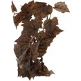 thumbnail image 1 of BEADCEST Plants for Gecko Tank Hanging Plastic Dark Brown 1 Set, 1 of 5