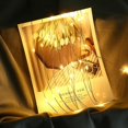 thumbnail image 2 of 1set Copper Wire String Light, 2 of 3