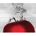 thumbnail image 1 of Trademark Fine Art Éclaboussure de Pomme Rouge par Roderick Stevens, Lamelles en Bois 18x22, Multicolore, 1 of 8