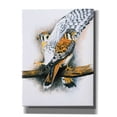 thumbnail image 1 of Epic Graffiti 'Elegant Raptor' by Barbara Keith, Canvas Wall Art, 12"x16", 1 of 8