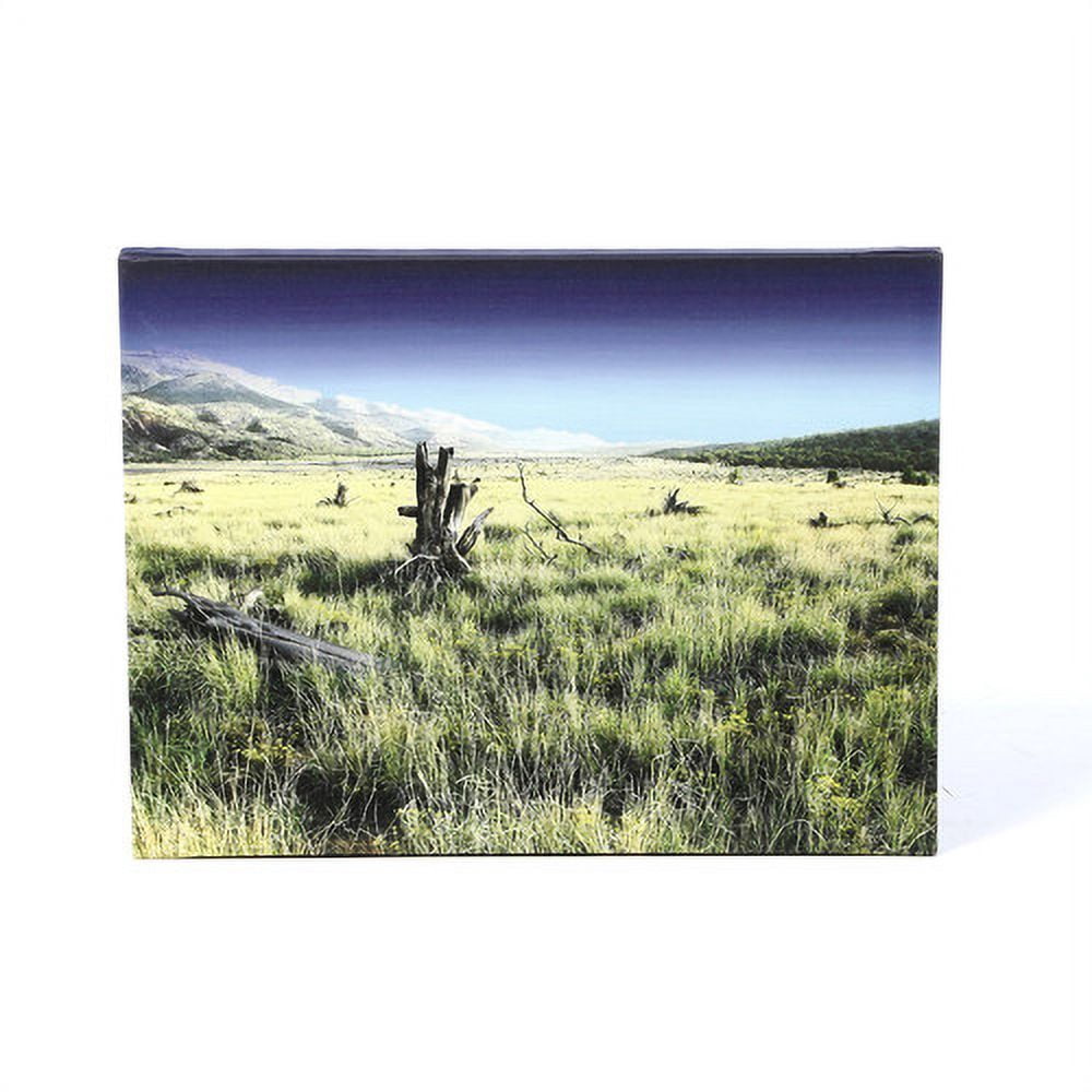 Mark Ross "Fall Creeps" Wrapped Canvas Art