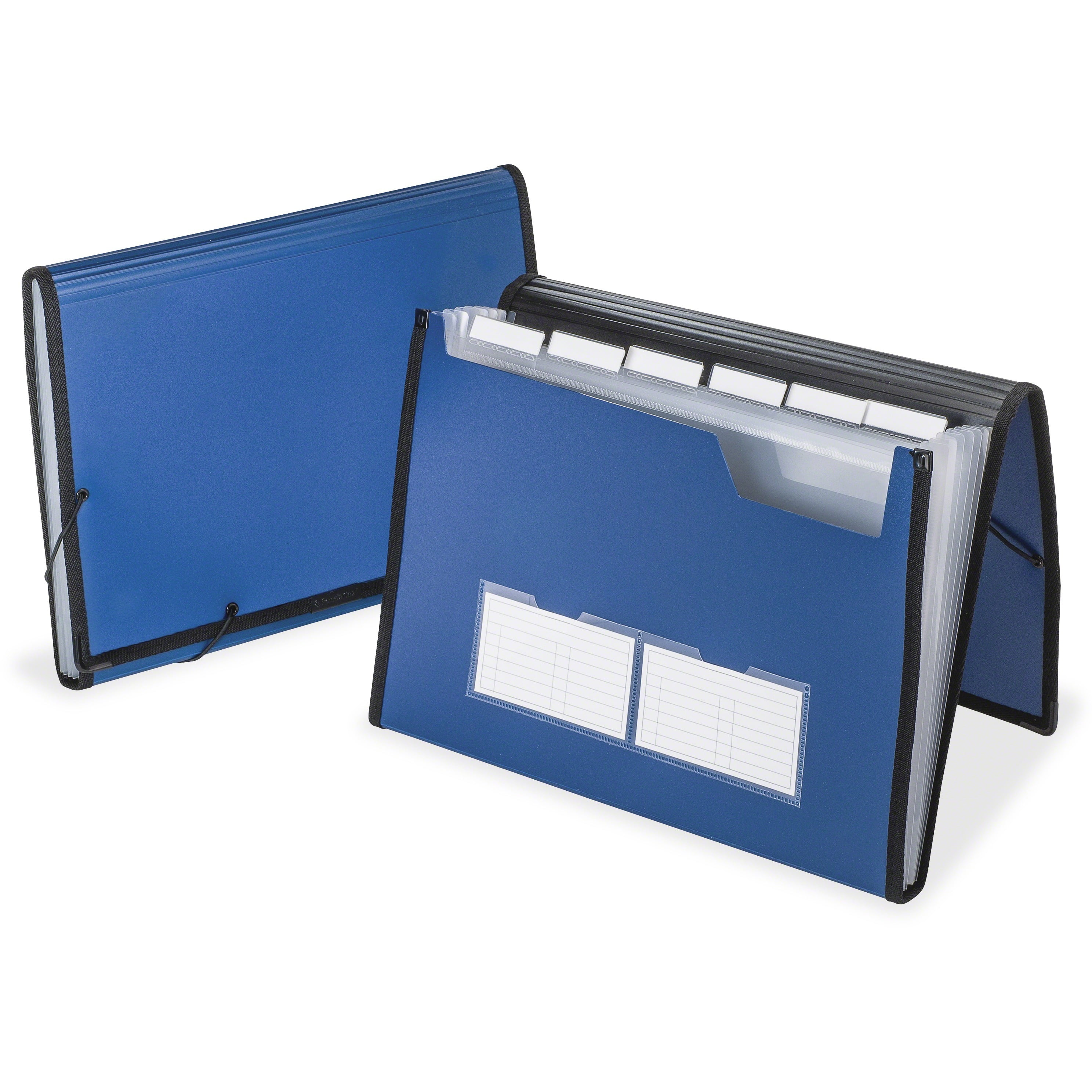 12-Pockets File Folder Office Organizer Monthly Letter Size Expanding Blue Black 