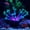 Purple, variant on Aquarium simulation decorative plants, fish tank scenery decoration, simulated sea anemone coral, simulated fluorescent plant fluorescence effect, silicone material.(Blue）
