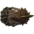 thumbnail image 5 of Ebros Dryad Greenman Dragon Wall Decor with Red LED Illuminated Eyes Sculpture, 5 of 6