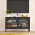 thumbnail image 2 of Metal Storage Cabinet with Doors and Shelves,2 Door TV Stand,Accent Cabinet，Metal Locker, 2 of 6