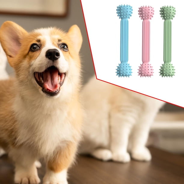 Juguete para Perros Yinane Cepillo de Dientes Interactivo Resistente Color Aleatorio