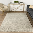 thumbnail image 2 of Zoe ZZ1 Brown Bohemian Rug 10' X 14', 2 of 5