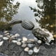 thumbnail image 5 of Estanque De Jardín Decoración De Animales Flotantes Simulación De Piscina Decoración De CocodrilosFeliz Cumpleaños Habitación Estética Regalos De Inauguración De La Casa Nueva Simpatía Apagada, 5 of 5