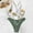Green, variant on iTNHFP Women's Swimwear Plus Women Two Piece Push Up Tankini Sets Plus Size Beachwear Swimsuit Bikini