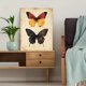thumbnail image 5 of Qisvanset 12x16 Inch With Frame 2D Flat Wall Art Three Butterfly Minimalist Modern Living Room Wall Art, 5 of 8