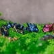 thumbnail image 2 of Cute 3D Printed Dragons Toy Fully Articulated Mini Dragons with Flexible Joints for Children Teen Adult, 2 of 5