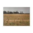 thumbnail image 2 of U R There Photography Freiberger Road Grey Across the Field Rustic Farmhouse Tempered-Glass Cutting Board 8"x 11", 2 of 9
