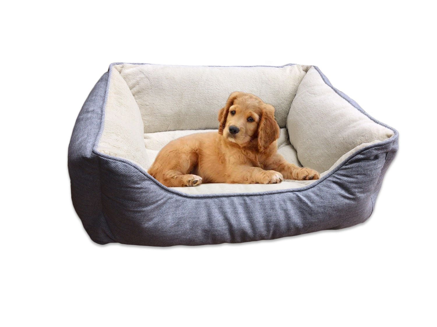 Vibrant Life Medium Cuddler Dog Bed