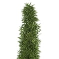 thumbnail image 2 of Vickerman 8-10" Green Foxtail Fern, 16 Stem Bunch, Preserved, 2 of 3