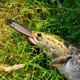 thumbnail image 3 of 5 uds Spinpoler 9cm 5 6g PVC señuelos Crankbait Wobbler Artificial cebo de pesca suave Hugtrwg Para estrenar, 3 of 7