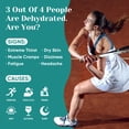 thumbnail image 4 of Venture Pal Sugar Free Electrolyte Powder Packets - Daily Drink Mix | 5 Vitamins & 7 Electrolytes| Keto Friendly | Non-GMO | Certified Vegan | 16 Sticks, 4 of 9