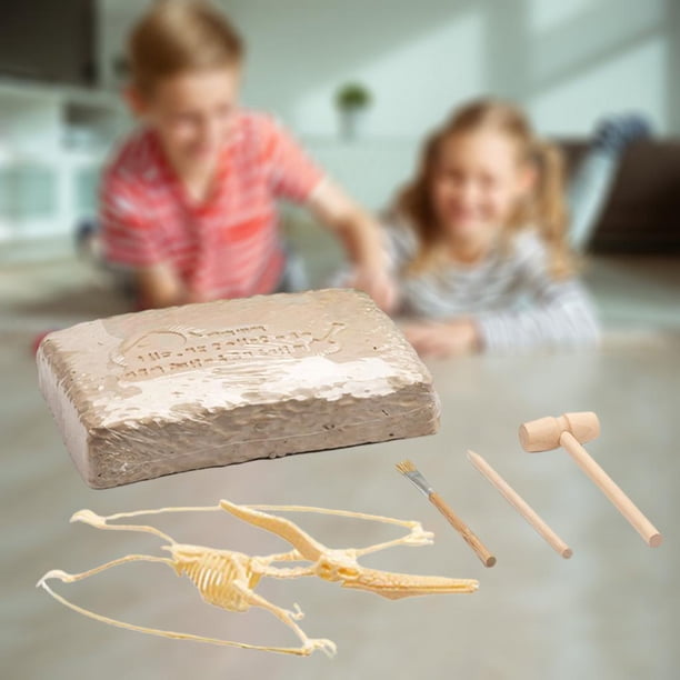 de excavación de dinosaurios, de actividades de dinosaurios para niños, juguetes educativos de aprendizaje de arqueología temprana Hugo Juguetes de excavación de excavación