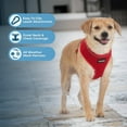 thumbnail image 4 of AeroLite No Pull Mesh Dog Harness with Lightweight, Soft, Breathable Chest Coverage, Reflective Stitching, and Adjustable Straps for Walking, Running, Training, Heavy Duty and Durable, 4 of 7