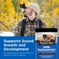 NutriVet Milk Replacement Powder for Kittens, 12 Ounces