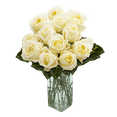 thumbnail image 2 of One Dozen Ivory Roses- Fresh Flower Delivery, 2 of 4