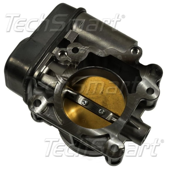 Fuel Injection Throttle Body Assembly