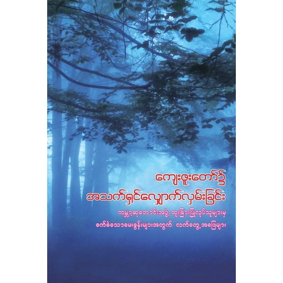 Walking in God's Grace (Burmese): Practical Answers to Tough Questions, (Paperback)