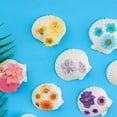 thumbnail image 4 of 40 Conchas de Vieira Naturales de 1,4 A 2,4 Pulgadas, Pequeñas Conchas de Mar Blancas para Manualidades, Conchas de Mar Reales A Granel, 4 of 6