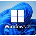 Microsoft Windows 11 Pro 64-Bit (DVD) – 1 User | Computer Software