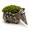 Style 4, variant on Lonmuju Frog Mini Resin Succulent Planter Pot, Cute Animal Indoor Plant Pot for Desk Home Office Decor