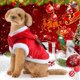 thumbnail image 3 of Disfraz navideño para perros, ropa para perros pequeños y gatos medianos (M), 3 of 5