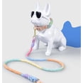 thumbnail image 3 of Dog Rope with Soft Leather Handle Thick Dog Lead Leash for Large Medium Small Dogs (Orange, 150cm*1.2cm), 3 of 7