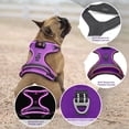 thumbnail image 3 of Chaleco de perro iluminado Vizbrite LED recargable para perros, 3 of 6