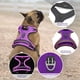 thumbnail image 3 of Chaleco de perro iluminado Vizbrite LED recargable para perros, 3 of 6