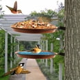 thumbnail image 3 of Zzbeans Heavy Duty Bird Feeder Tree Mounted, Sturdy Steel Bird Bath Tray for Outdoor Garden, Weatherproof Copper Red Bird Bowl for Wooden Fences Trees Walls, 3 of 4