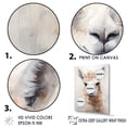 thumbnail image 3 of Designart "Portrait Of A Grunge-Styled Minimalist Alpaca I" Alpaca Wall Art Prints, 3 of 7