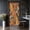 Color 1, variant on Door Stickers Peel and Stick Door Mural Flowers leaves Mid century modern art Abstract Removable Wallpaper 30.3''x78.7'' Self-Adhesive Mural for Kitchen Living Room Bedroom Decor