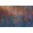 thumbnail image 2 of P., Ruiqing 14x11 Black Ornate Wood Framed with Double Matting Museum Art Print Titled - Misty Morning, 2 of 4