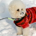 thumbnail image 3 of HINTRMENT Hands Free Pet Leash with Reflective Stitching for Outdoor Dog Walking in Assorted Colors, 3 of 6