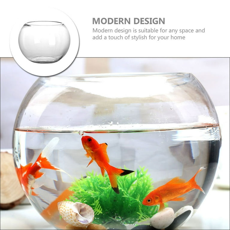 Home Accents Decor Glass Fish Tank Round Goldfish Bowl Clear Terrarium Golden Office