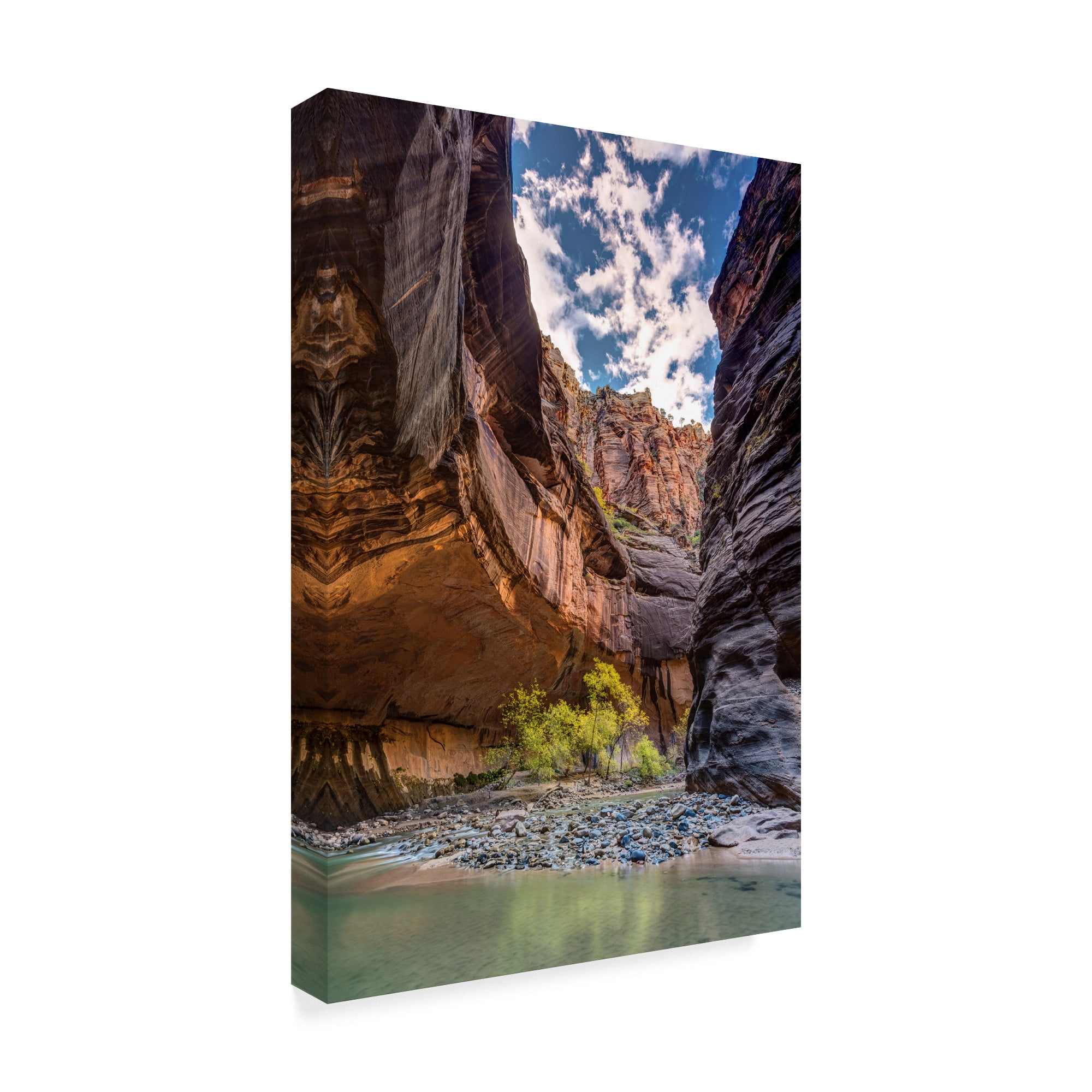 Trademark Fine Art 'Virgin River Zion' Canvas Art by Pierre Leclerc