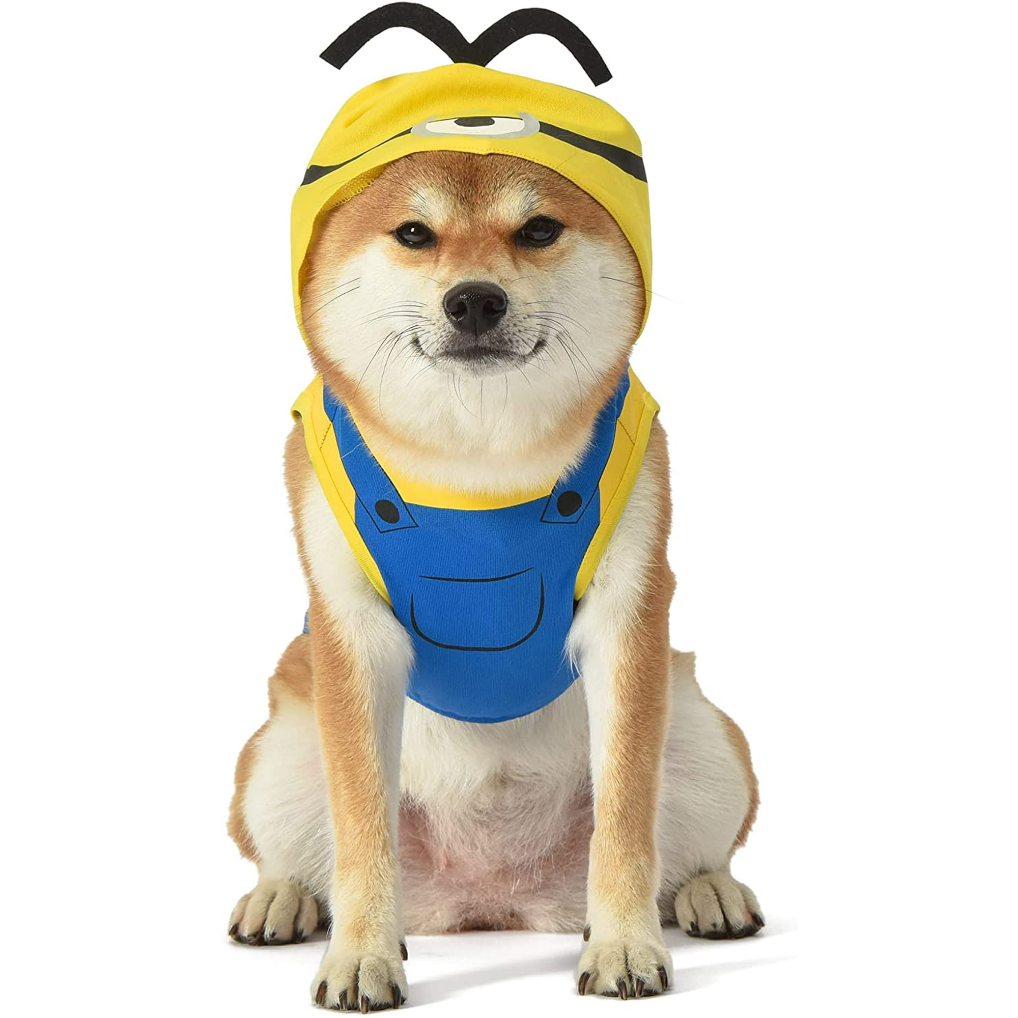 Dogs in minion costumes hotsell